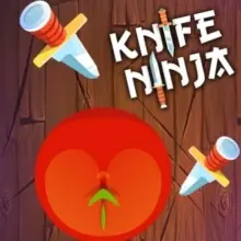 Knife Shadow Ninja 